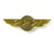 Boeing 777 Wings Pin