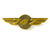 Boeing 747 Wings Pin